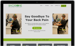 Reviews 1 Backbone Cushion: innovative upright back support cushion