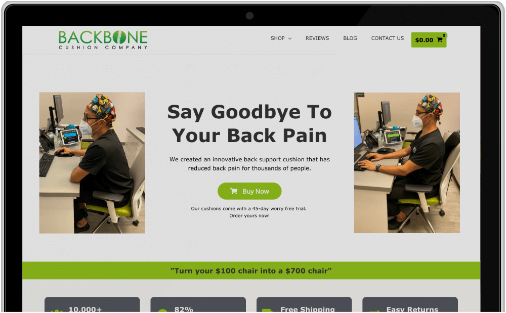Portfolio 1 Backbone Cushion: innovative upright back support cushion